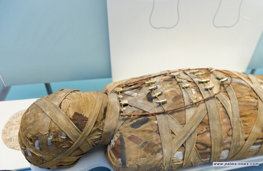 ينهي جدلا علميا واسعا حول المومياء المصرية "الحامل"